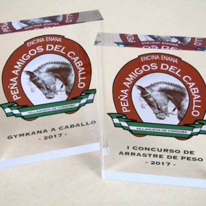 trofeos deportivos baratos personalizados