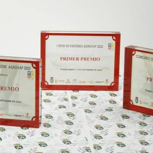 trofeos deportivos personalizados para regalar