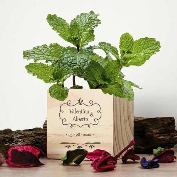 maceta-semillas-mo9337-1 detalles de boda originales para invitados