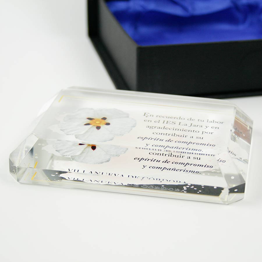 https://www.seriandaluza.com/tienda/pisapapeles-personalizado/ regalos despedida trabajo personalizados