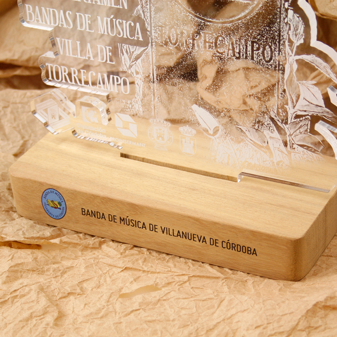 placa reconocimiento personalizada a medida