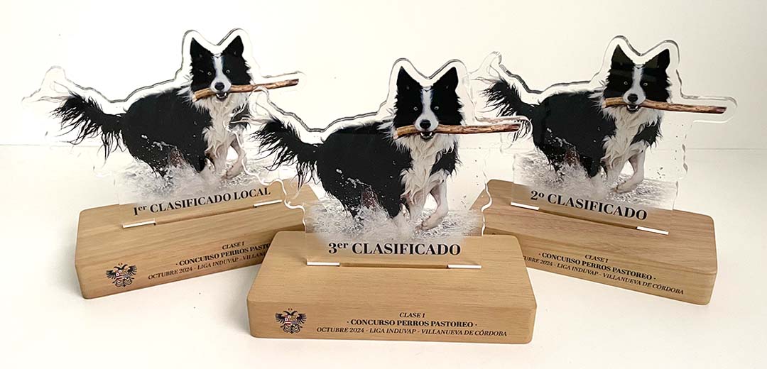 Placa-para-trofeo-05 premio personalizado metacrilato y madera
