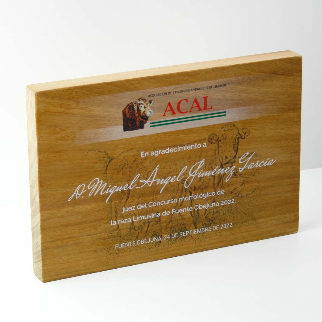 placa-grabada-personalizada-01 placa grabada personalizada