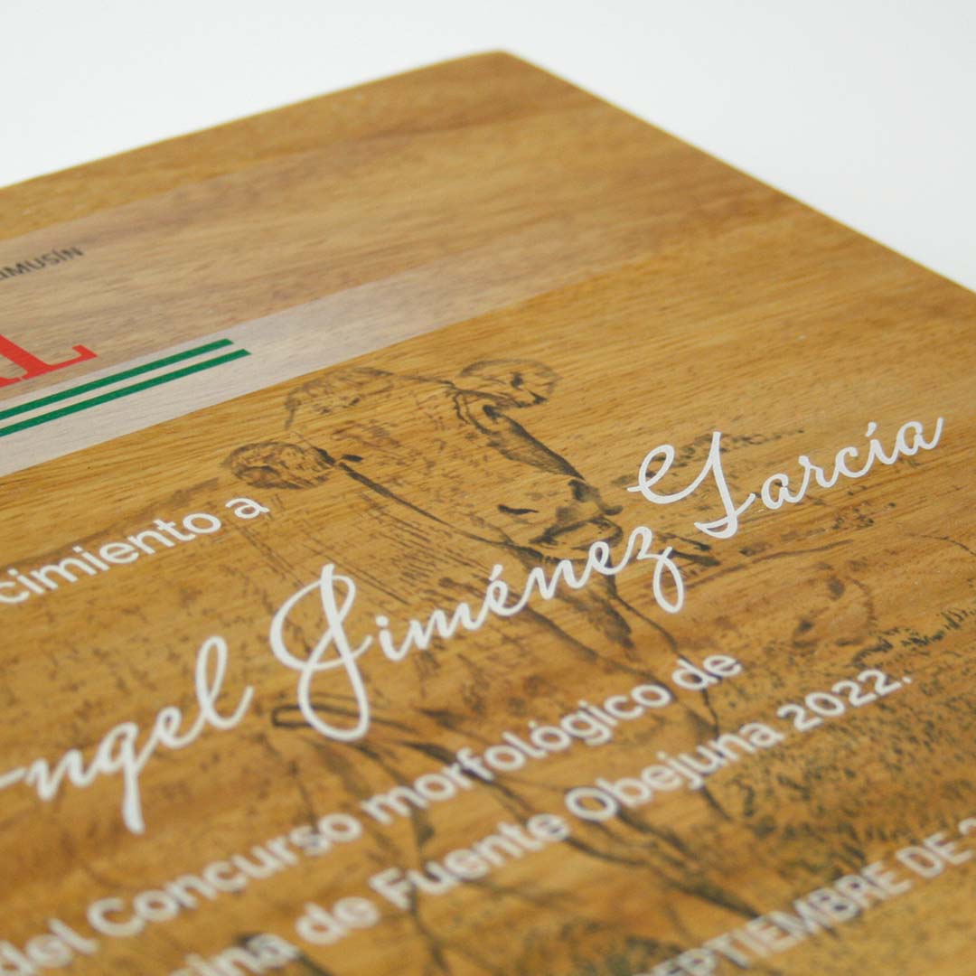 placa grabada personalizada reconocimiento