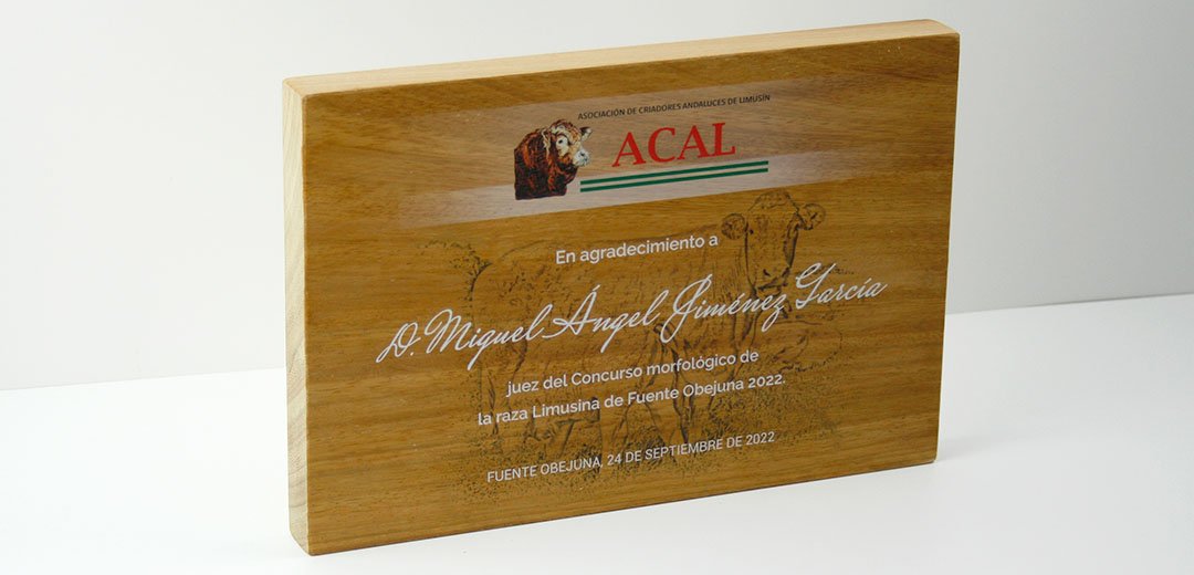 placa-grabada-personalizada-05 placa de madera grabada con texto y foto