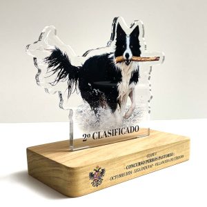 placa para trofeo